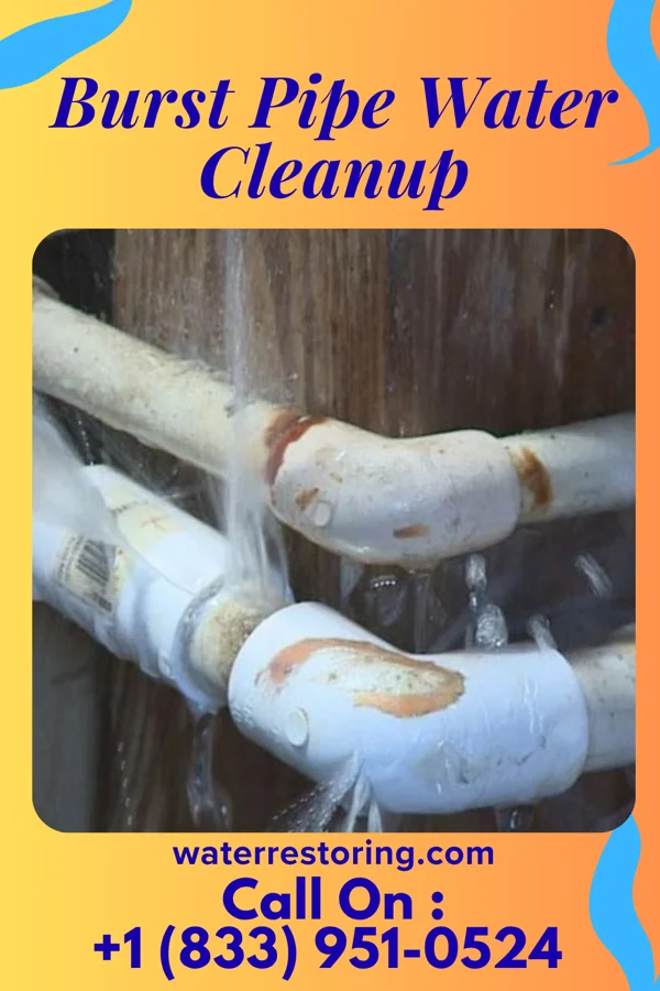 Burst Pipe Water Cleanup in Uniontown, KY