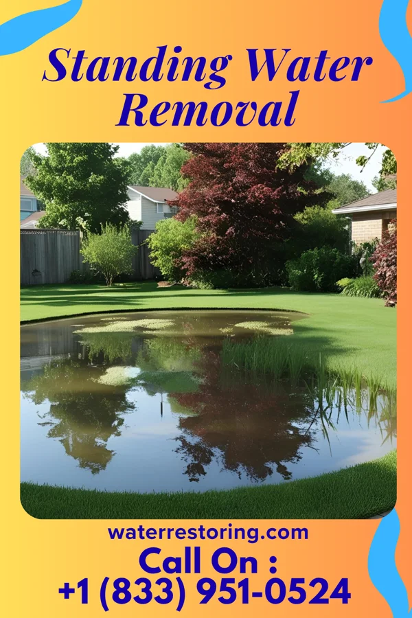 Standing Water Removal in Uniontown, KY
